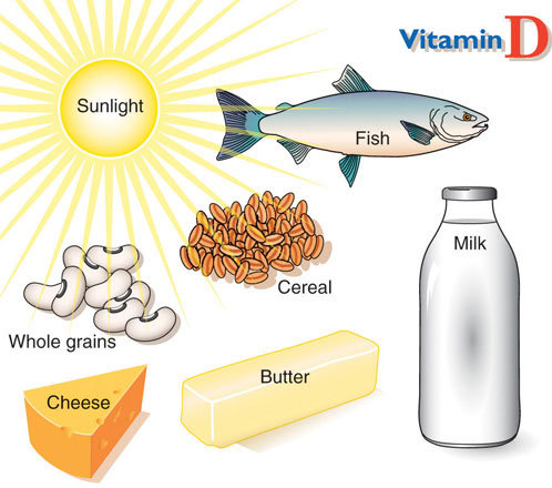 nguồn cung cấp vitamin D